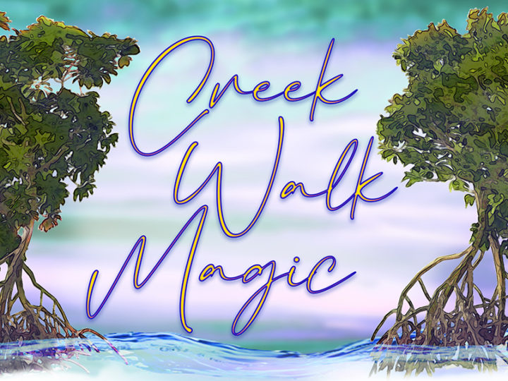 creek walk magic – a letterbox event